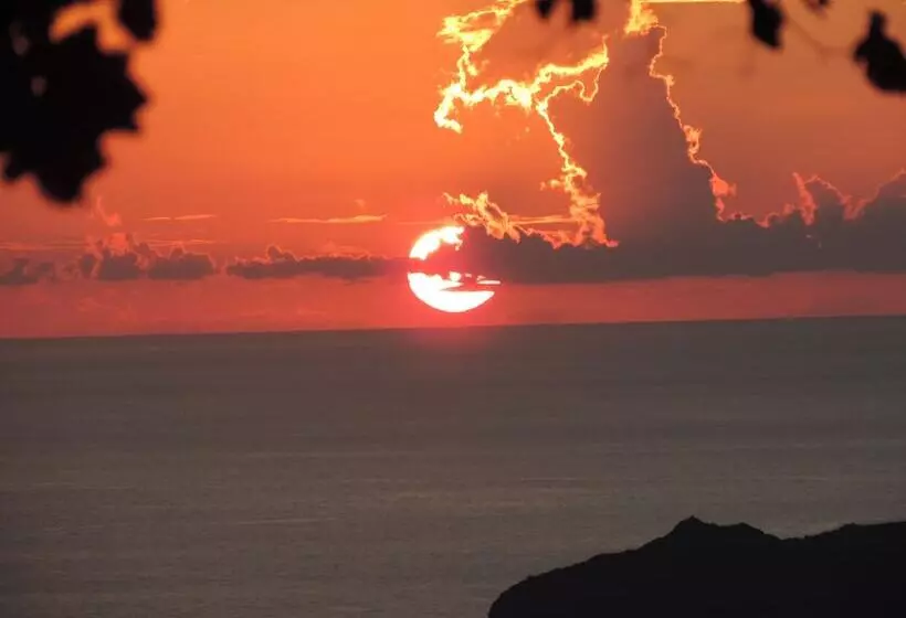 Fotos del hotel Nautilus Dome:  20