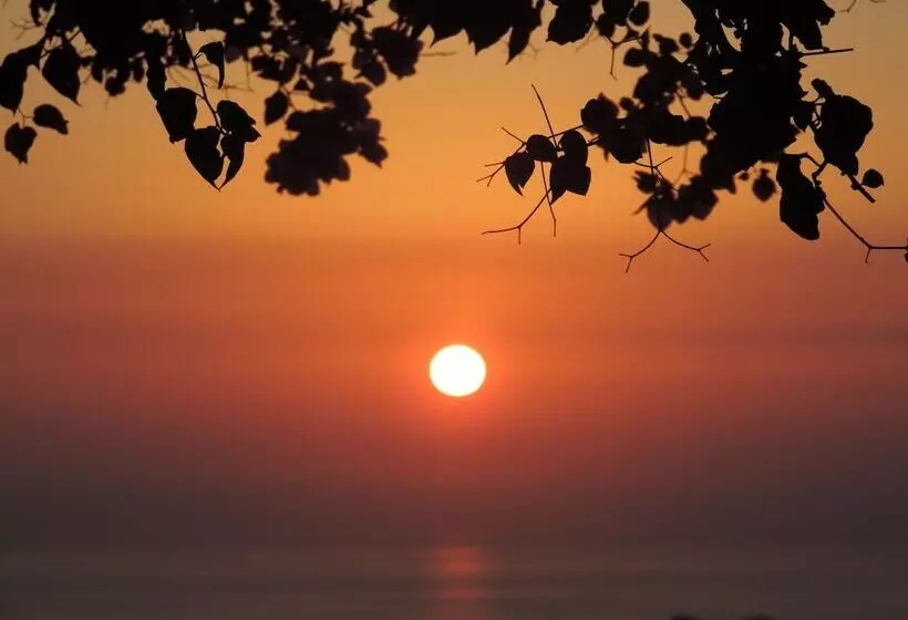 Fotos del hotel Nautilus Dome:  22