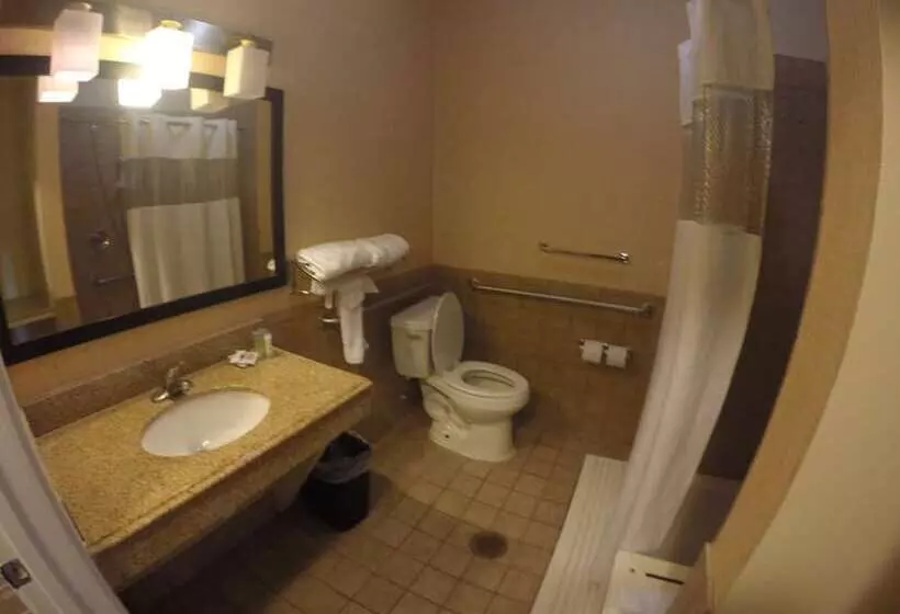 Fotos del hotel Airway Inn:  3