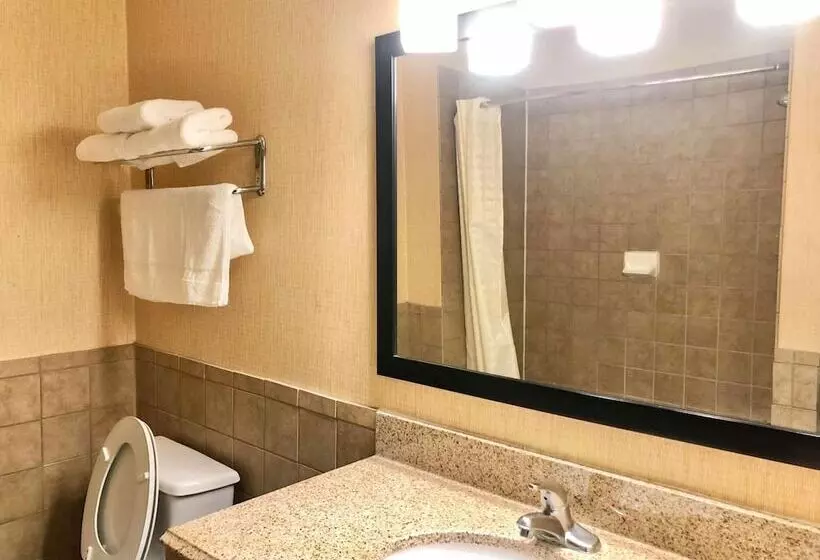 Fotos del hotel Airway Inn:  7