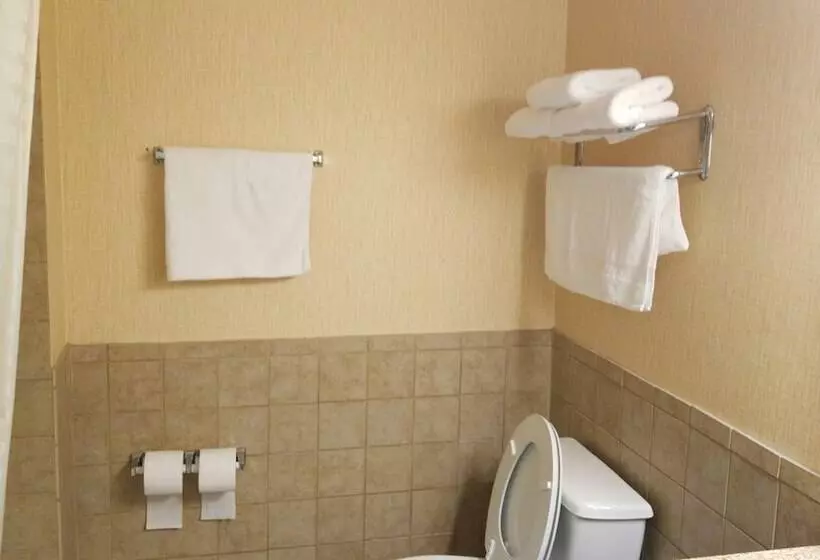 Fotos del hotel Airway Inn:  9