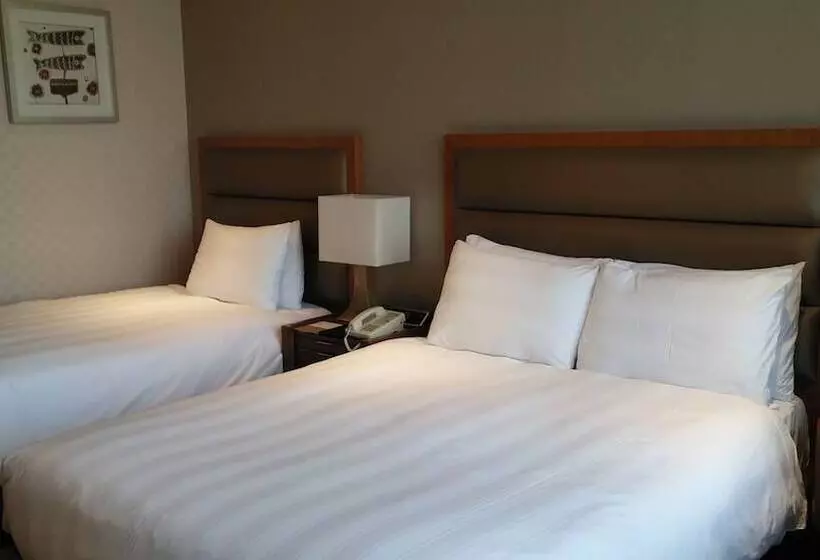 Fotos del hotel Lotte City  Mapo:  16