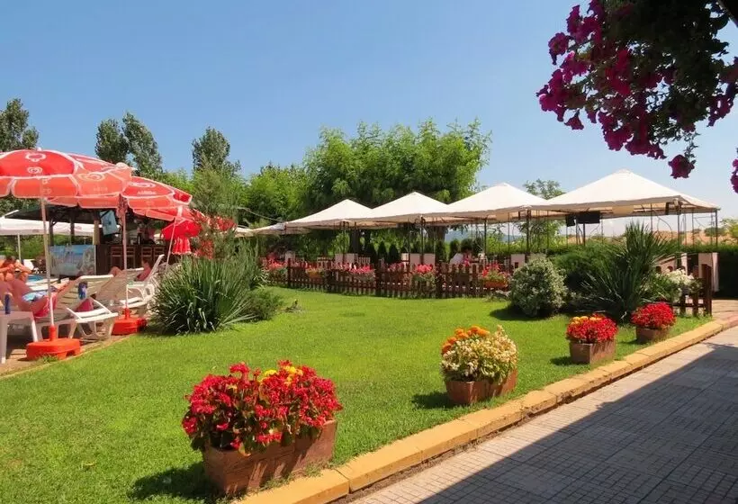 Fotos del hotel Sirena:  24