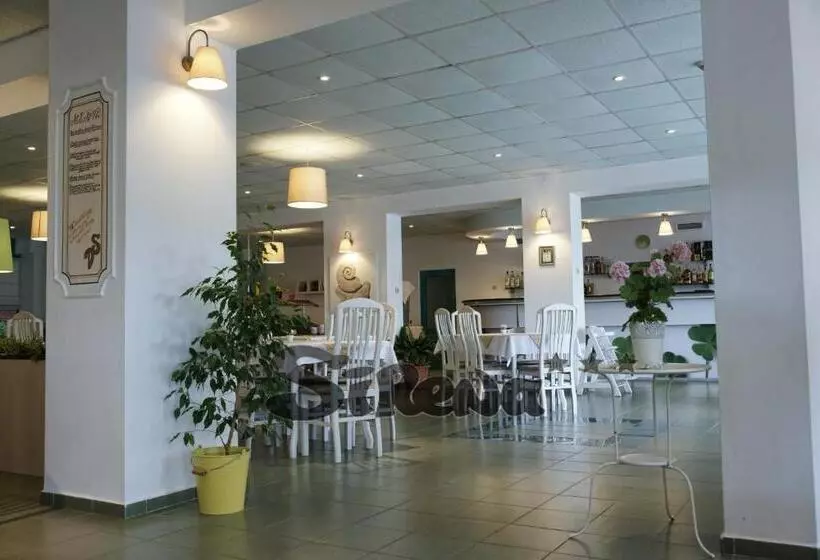 Fotos del hotel Sirena:  23