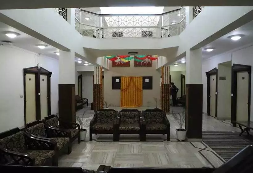 Fotos del hotel Hotel Ashish Palace:  3