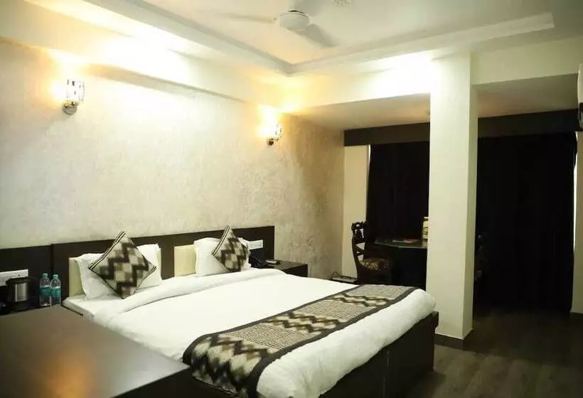 Fotos del hotel Hotel Ashish Palace:  9