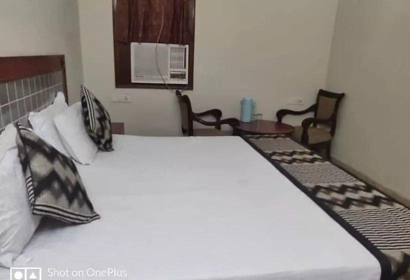 Fotos del hotel Hotel Ashish Palace:  12