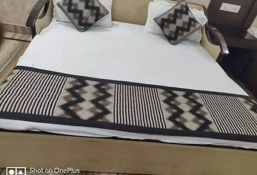 Fotos del hotel Hotel Ashish Palace:  15