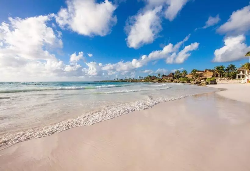 Fotos del hotel Eden Roc At Cap Cana:  18