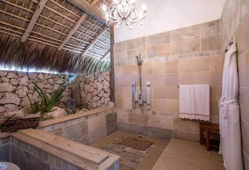 Fotos del hotel Eden Roc At Cap Cana:  4