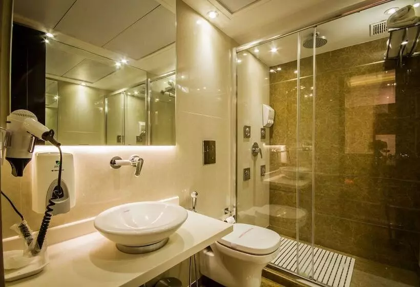 Fotos del hotel Grand Godwin:  18