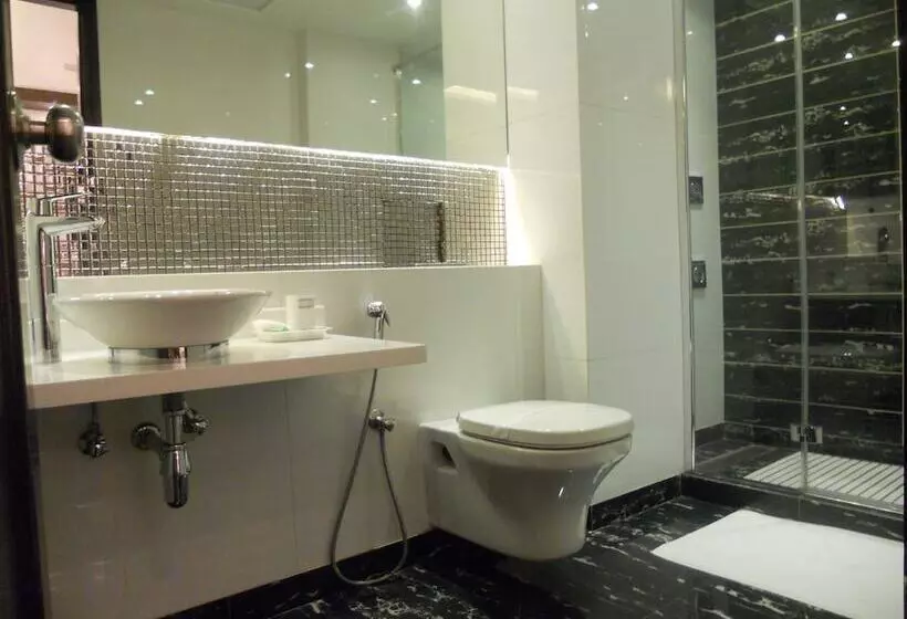 Fotos del hotel Grand Godwin:  11