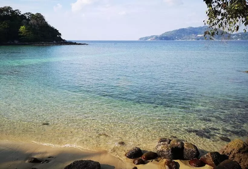 Fotos del hotel Seven Seas:  18