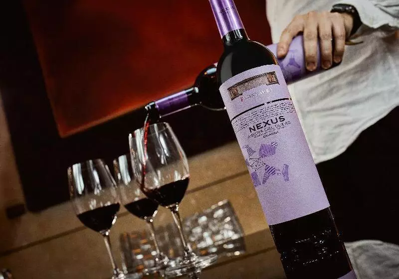 Fotos del hotel Nexus Valladolid Suites &:  6