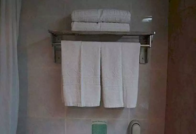 Fotos del hotel Tiara Oriental:  6