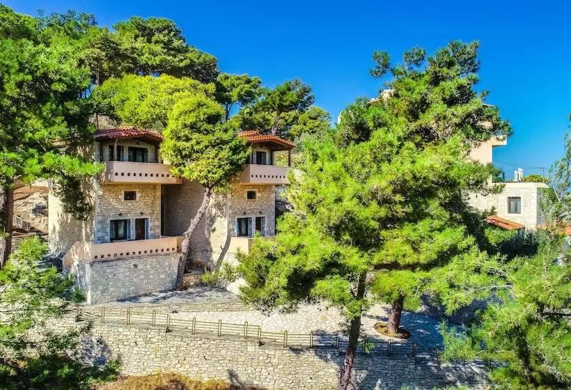 Fotos del hotel Forest Park:  25