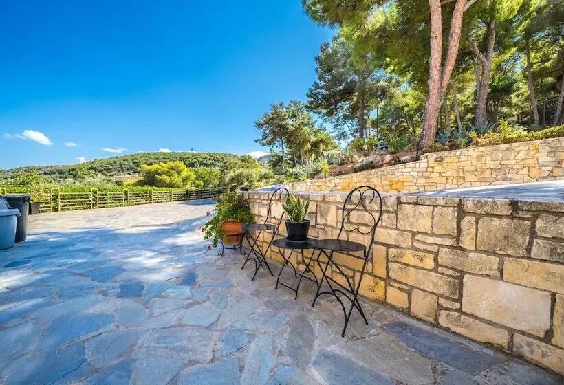 Fotos del hotel Forest Park:  7