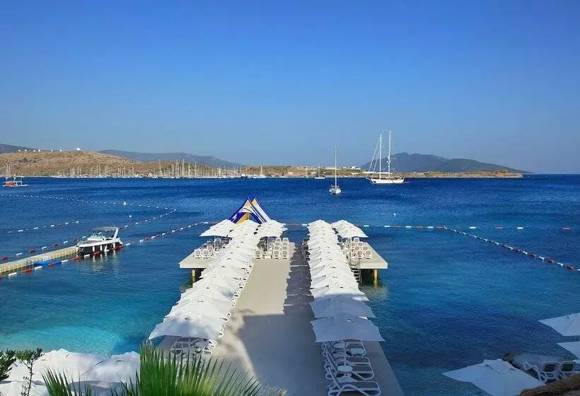 Fotos del hotel Royal Arena  & Resort Spa:  9