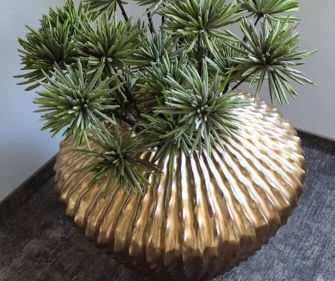 Fotos del hotel Vila Trapez:  8