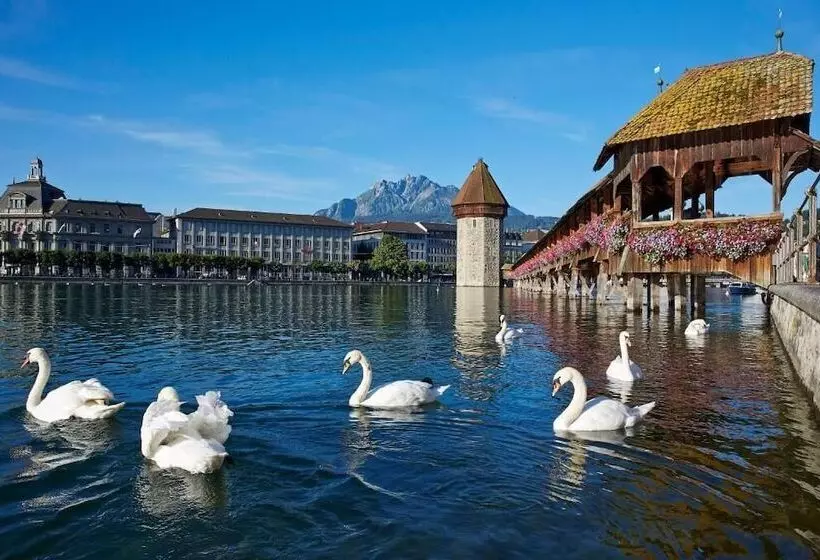 Fotos del hotel Altstadt Hotel Le Stelle Luzern:  3