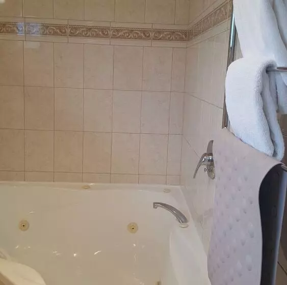 Fotos del hotel At The Rocks Motor Lodge:  19