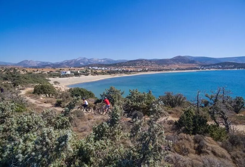 Fotos del hotel Finikas:  8