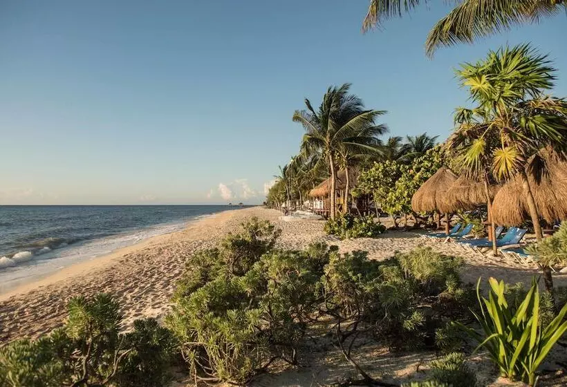 Fotos del hotel Grand Riviera Princess  All Inclusive:  12