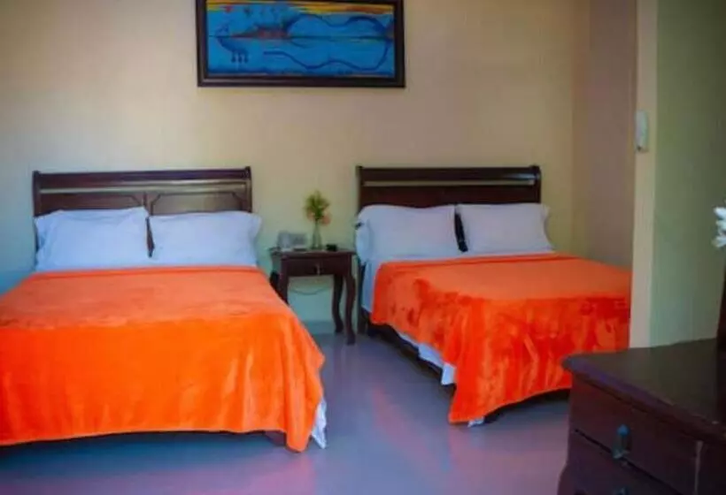 Fotos del hotel Luis V:  18