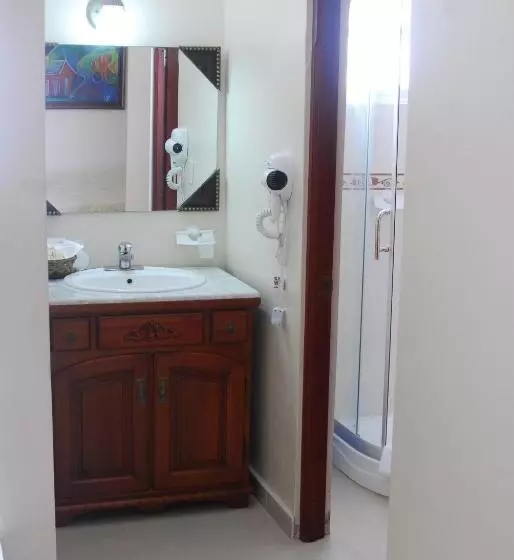 Fotos del hotel Luis V:  11