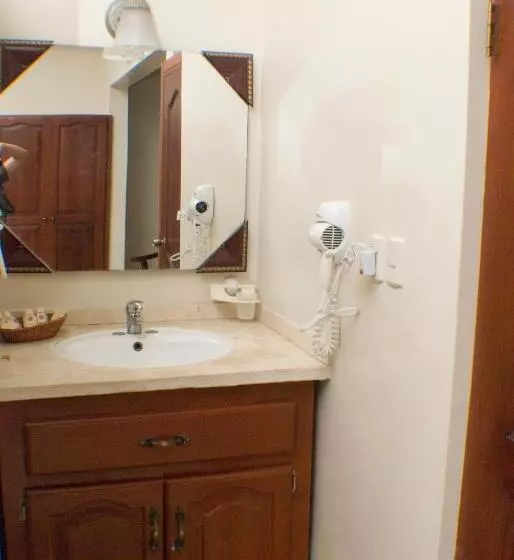 Fotos del hotel Luis V:  15