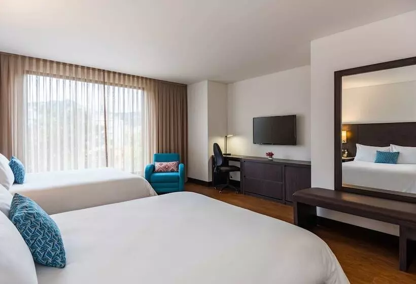 Fotos del hotel Morrison 114:  12