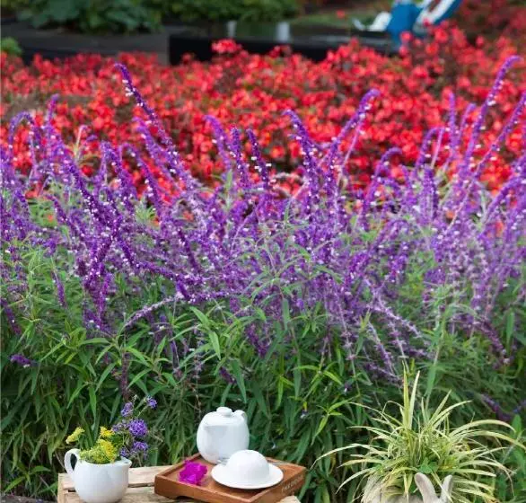 Fotos del hotel Bo:  9