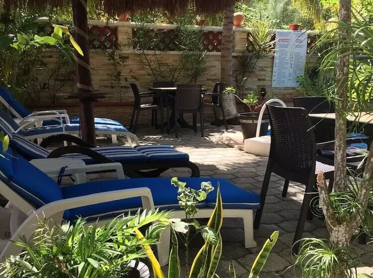 Fotos del hotel Cocos Cabañas:  5