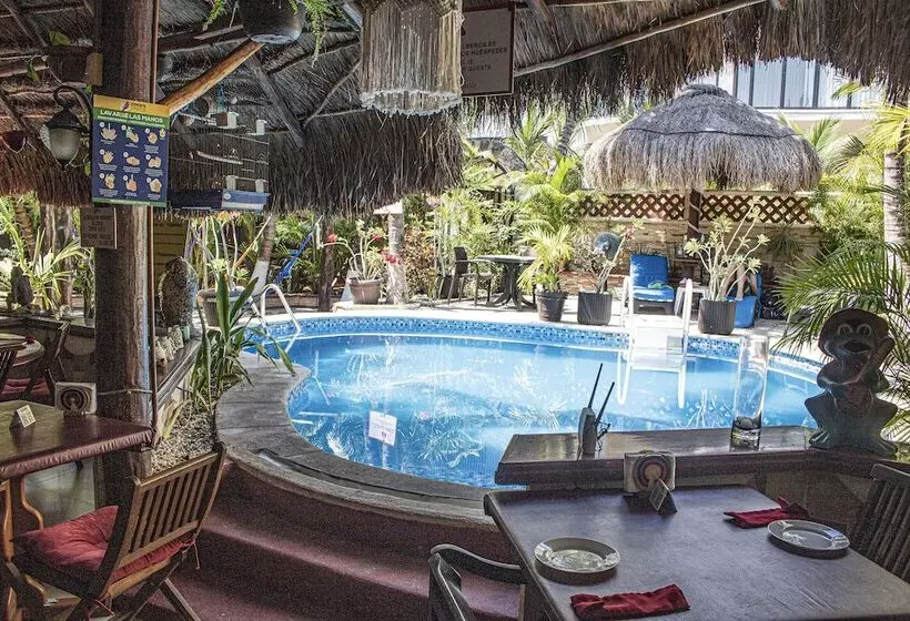 Fotos del hotel Cocos Cabañas:  23