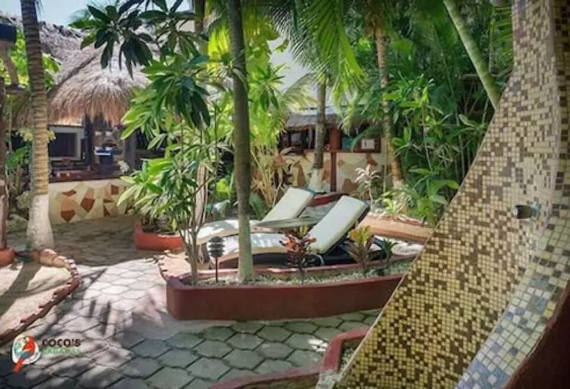Fotos del hotel Cocos Cabañas:  10