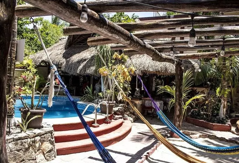 Fotos del hotel Cocos Cabañas:  9