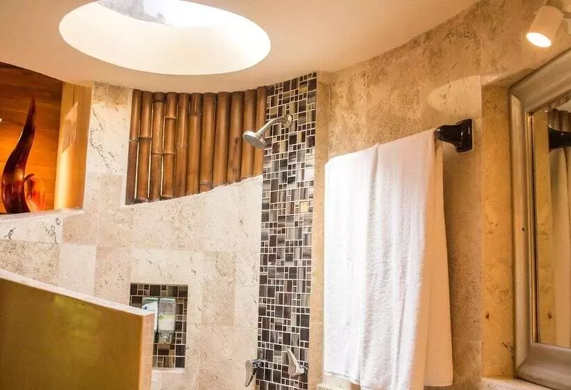 Fotos del hotel Cocos Cabañas:  16