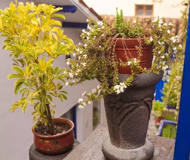 Fotos del hotel Rumi Wasi:  4