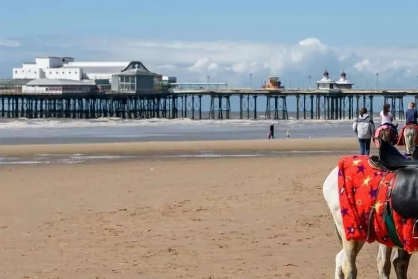 Fotos del hotel Sussex:  5