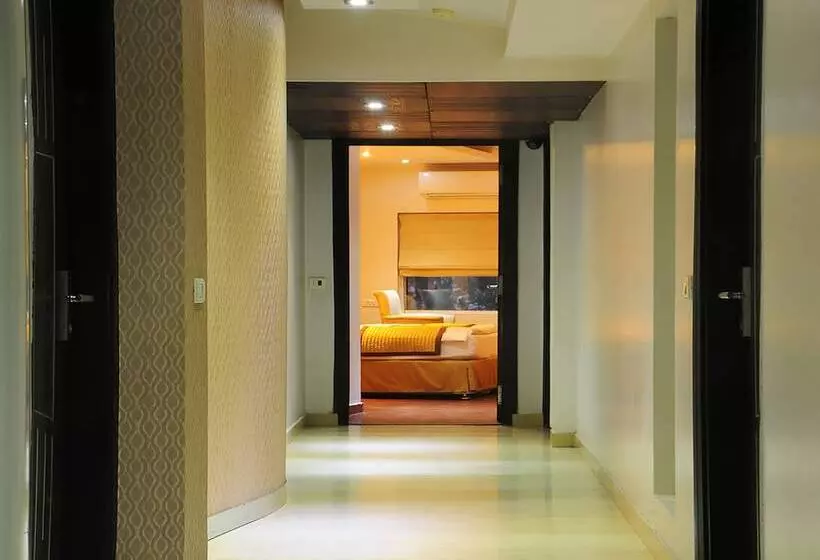 Fotos del hotel Trimrooms Palm D Or:  24