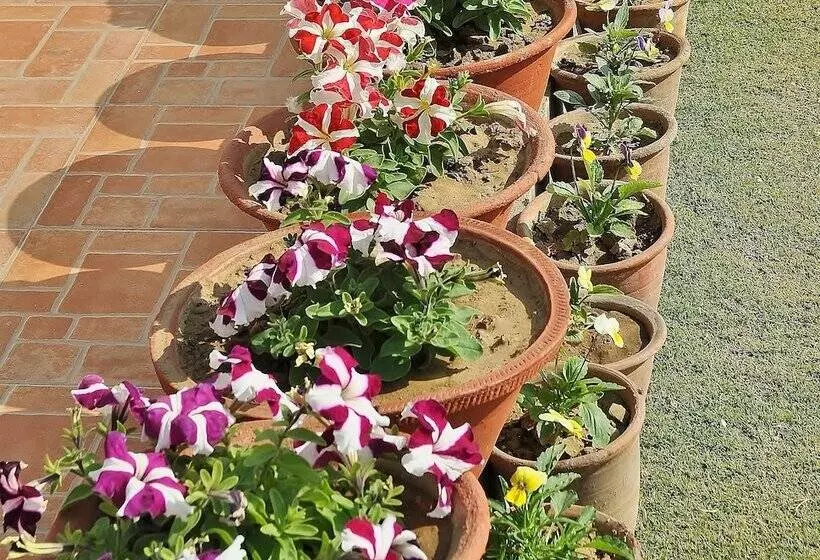 Fotos del hotel Om Niwas Suite:  12