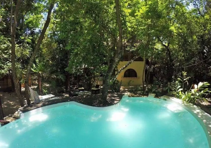 Fotos del hotel Shalala :  2