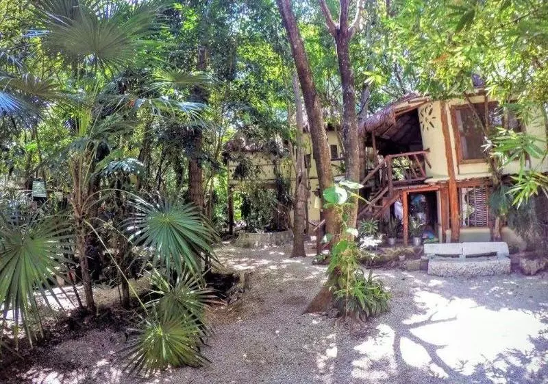 Fotos del hotel Shalala :  11