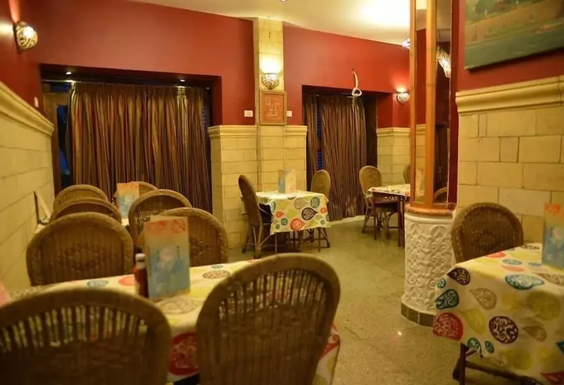 Fotos del hotel Nefertiti  Luxor:  21