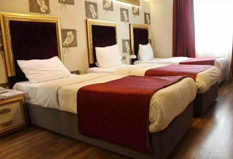 Fotos del hotel Soliman:  17