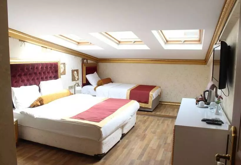 Fotos del hotel Soliman:  9