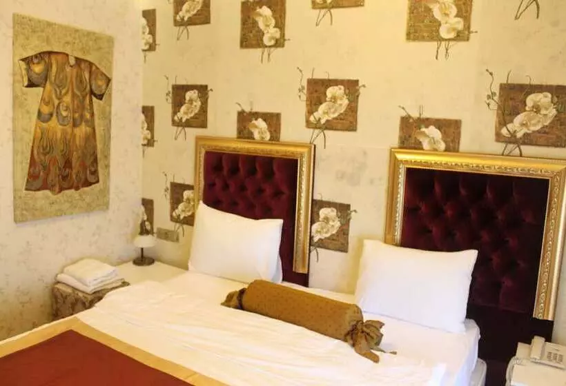 Fotos del hotel Soliman:  23