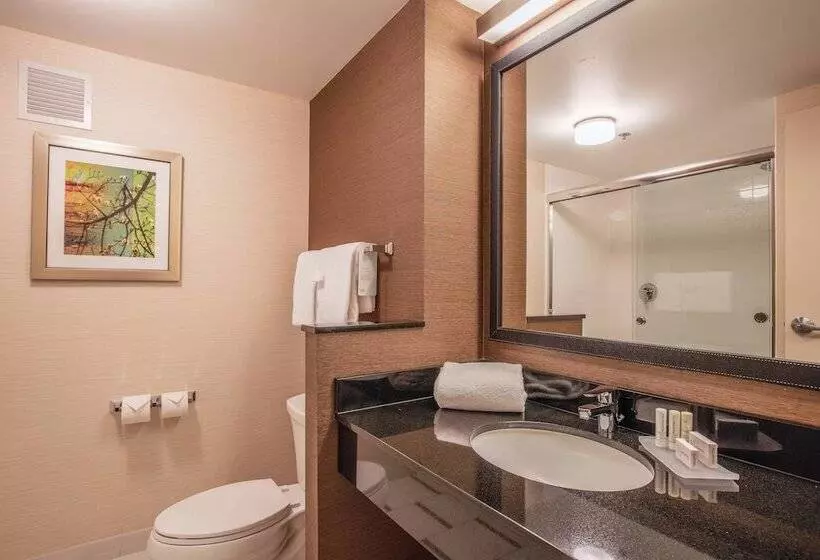 Fotos del hotel Fairfield Inn And Suites Chicago Downtownriver North:  8