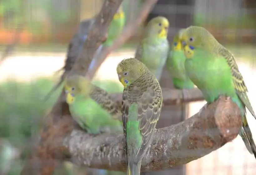 Fotos del hotel Eadry Royal Garden Hotel Haikou:  13