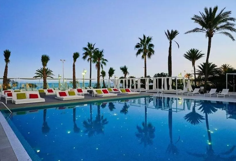 Fotos del hotel Protur Playa Cala Millor   Adults Only:  43